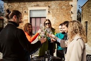 Porto: Tour della Valle del Douro con 2 cantine, pranzo e crociera