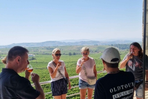 Porto: Tour della Valle del Douro con 2 cantine, pranzo e crociera