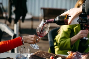 Porto: Tour della Valle del Douro con 2 cantine, pranzo e crociera