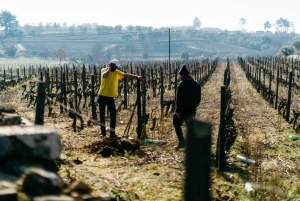 Porto: Tour della Valle del Douro con 2 cantine, pranzo e crociera