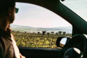 Porto: Tour della Valle del Douro con 2 cantine, pranzo e crociera