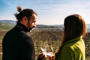 Porto: Tour della Valle del Douro con 2 cantine, pranzo e crociera