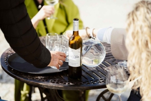 Porto: Tour della Valle del Douro con 2 cantine, pranzo e crociera
