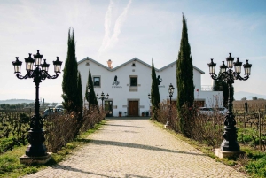 Porto: Tour della Valle del Douro con 2 cantine, pranzo e crociera