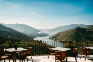 Porto: Tour della Valle del Douro con 2 cantine, pranzo e crociera