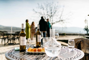 Porto: Tour della Valle del Douro con 2 cantine, pranzo e crociera