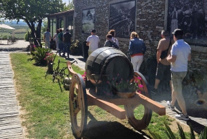 Porto: Tour della Valle del Douro con 2 cantine, pranzo e crociera