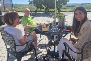 Porto: Tour della Valle del Douro con 2 cantine, pranzo e crociera
