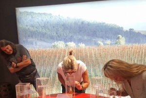 Porto: Tour della Valle del Douro con 2 cantine, pranzo e crociera