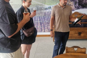 Porto: Tour della Valle del Douro con 2 cantine, pranzo e crociera