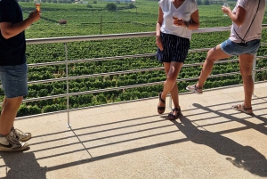 Porto: Tour della Valle del Douro con 2 cantine, pranzo e crociera