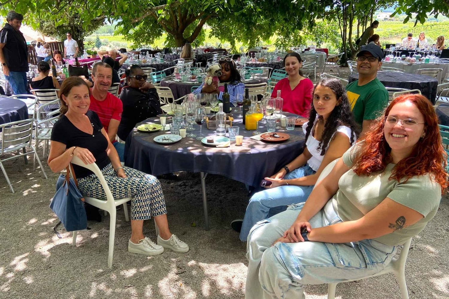 Porto: Visita ao Vale do Douro com 3 Adegas e Almoço