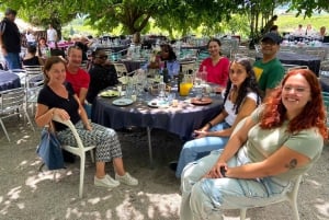 Porto: Visita ao Vale do Douro com 3 Adegas e Almoço