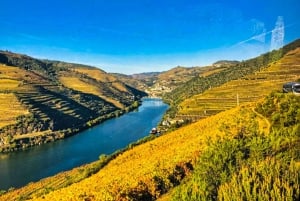 Porto: Visita ao Vale do Douro com 3 Adegas e Almoço