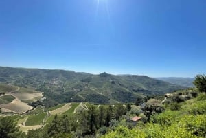 Porto: Tur i Douro-dalen med 3 vingårde og frokost