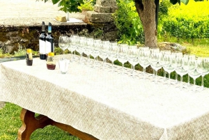 Porto: Tur i Douro-dalen med 3 vingårde og frokost