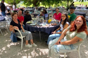 Porto: Tur i Douro-dalen med 3 vingårde og frokost