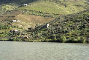 Porto: Tur i Douro-dalen med 3 vingårde og frokost
