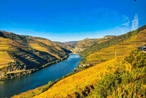 Porto: Tur i Douro-dalen med 3 vingårde og frokost