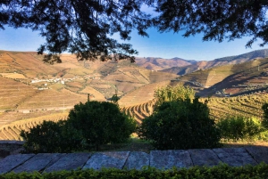 Porto: Tur i Douro-dalen med 3 vingårde og frokost