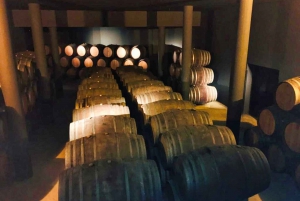 Porto: Tur i Douro-dalen med 3 vingårde og frokost