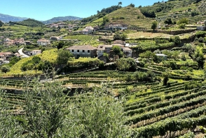Porto: Tur i Douro-dalen med 3 vingårde og frokost