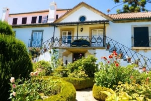 Private Transfer between Nice Airport and Monaco