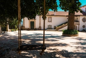 Porto: Wycieczka do doliny Douro z lunchem, rejsem wycieczkowym i degustacją