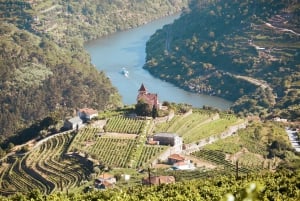 Porto: Douro Valley Tour with Wine Tasting, Cruise and Lunch