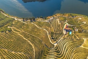 Porto: Douro Valley Tour with Wine Tasting, Cruise and Lunch