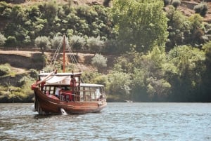 Porto: Douro Valley Tour with Wine Tasting, Cruise and Lunch