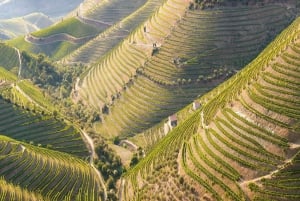 Porto: Douro Valley Tour with Wine Tasting, Cruise and Lunch