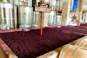 Porto: Douro Valley Tour with Wine Tasting, Cruise and Lunch