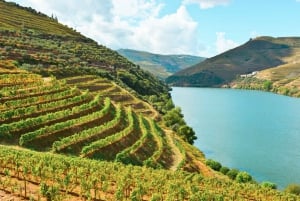 Porto: Douro Valley Tour with Wine Tasting, Cruise and Lunch