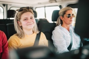 Porto: Douro Valley Tour with Wine Tasting, Cruise and Lunch