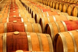 Porto: Douro Valley Tour with Wine Tasting, Cruise and Lunch