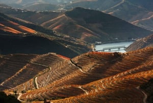Porto: Douro Valley Tour with Wine Tasting, Cruise and Lunch