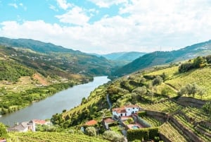 Porto: Douro Valley Tour with Wine Tasting, Cruise and Lunch