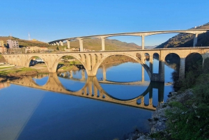 Porto: Visita ao Vale do Douro com prova de vinhos, cruzeiro guiado e almoço