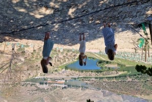 Porto: Visita ao Vale do Douro com prova de vinhos, cruzeiro guiado e almoço