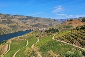 Porto: Visita ao Vale do Douro com prova de vinhos, cruzeiro guiado e almoço