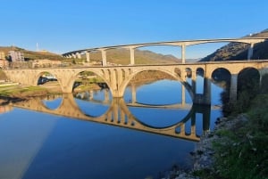 Fra Porto Dagstur i Porto-dalen med 2 vinsmaking og lunsj