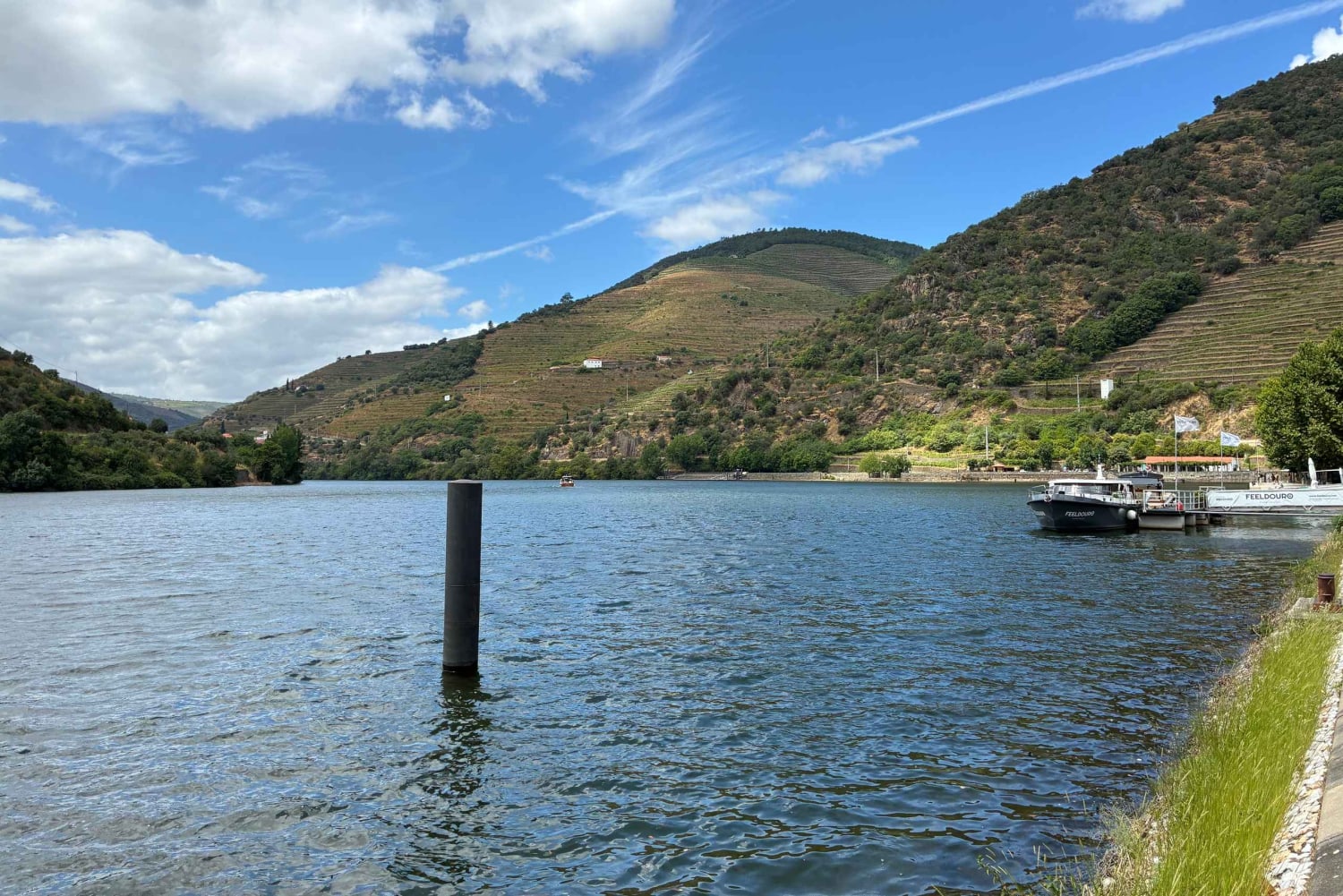 Porto: Tour de vinhos no Vale do Douro, passeio de barco em grupo privado, degustação de vinhos, comida