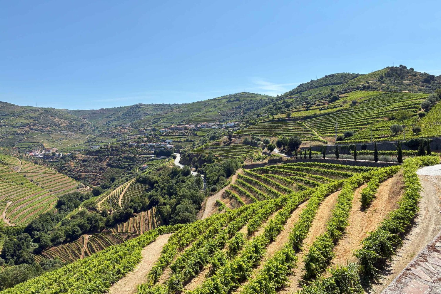 Porto: Tour de vinhos no Vale do Douro, passeio de barco em grupo privado, degustação de vinhos, comida