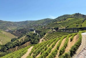 Porto: Douro-laakson viiniretki pienelle yksityisryhmälle, veneajelu, viininmaistelu, ruoka