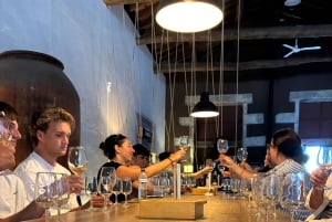 Porto: Douro-laakson viiniretki pienelle yksityisryhmälle, veneajelu, viininmaistelu, ruoka