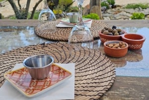 Porto: Douro-laakson viiniretki pienelle yksityisryhmälle, veneajelu, viininmaistelu, ruoka