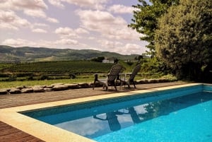 Porto: Douro-laakson viiniretki pienelle yksityisryhmälle, veneajelu, viininmaistelu, ruoka