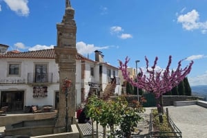 Porto: Tour de vinhos no Vale do Douro, passeio de barco em grupo privado, degustação de vinhos, comida