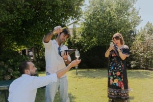 Porto: Vinresa Vintur i Dourodalen med sommelier och båttur